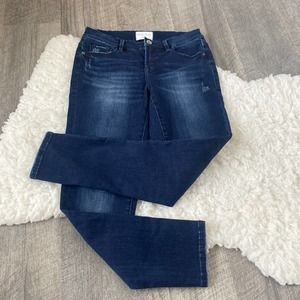 Nancy rose denim New York mid rise skinny jeans